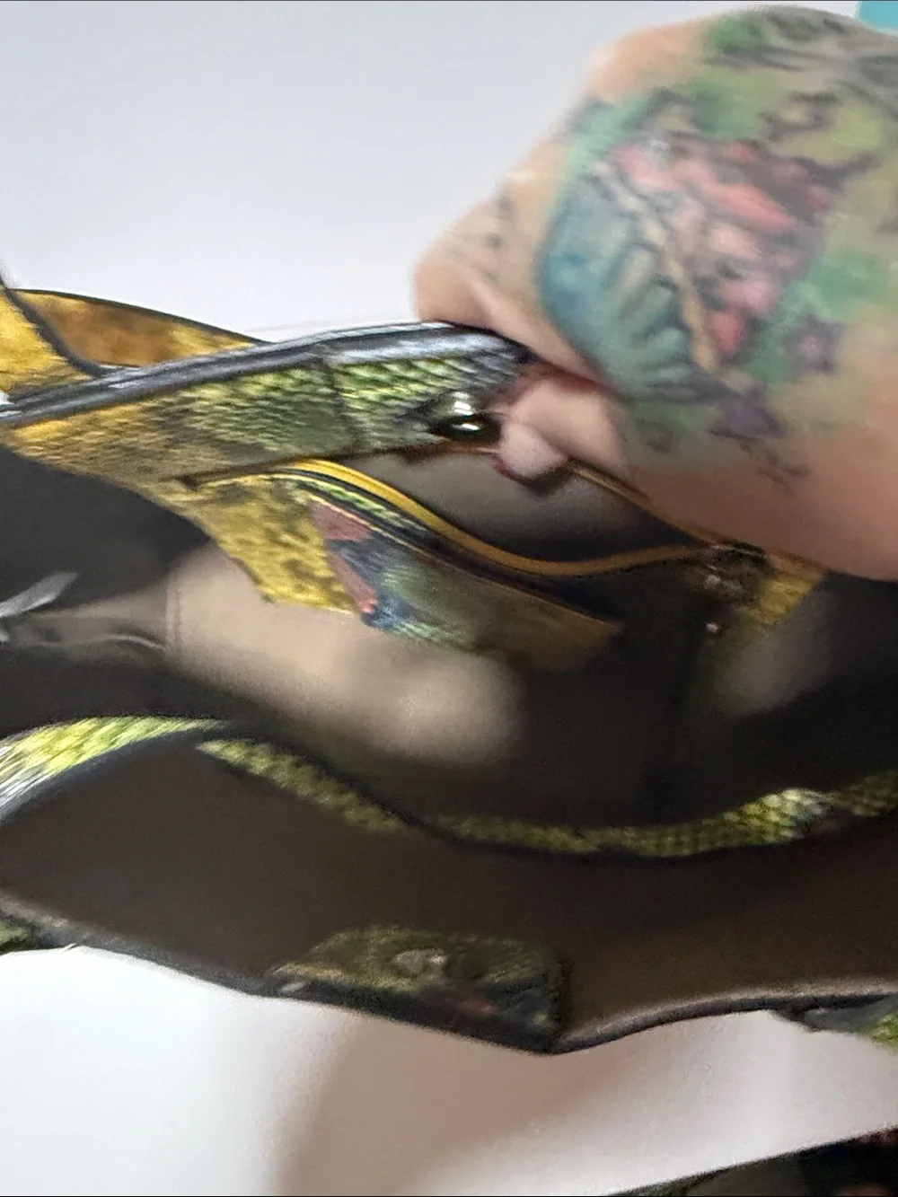 Snake-Print Tote Bag in Yellow, Green & Red - Women Bags